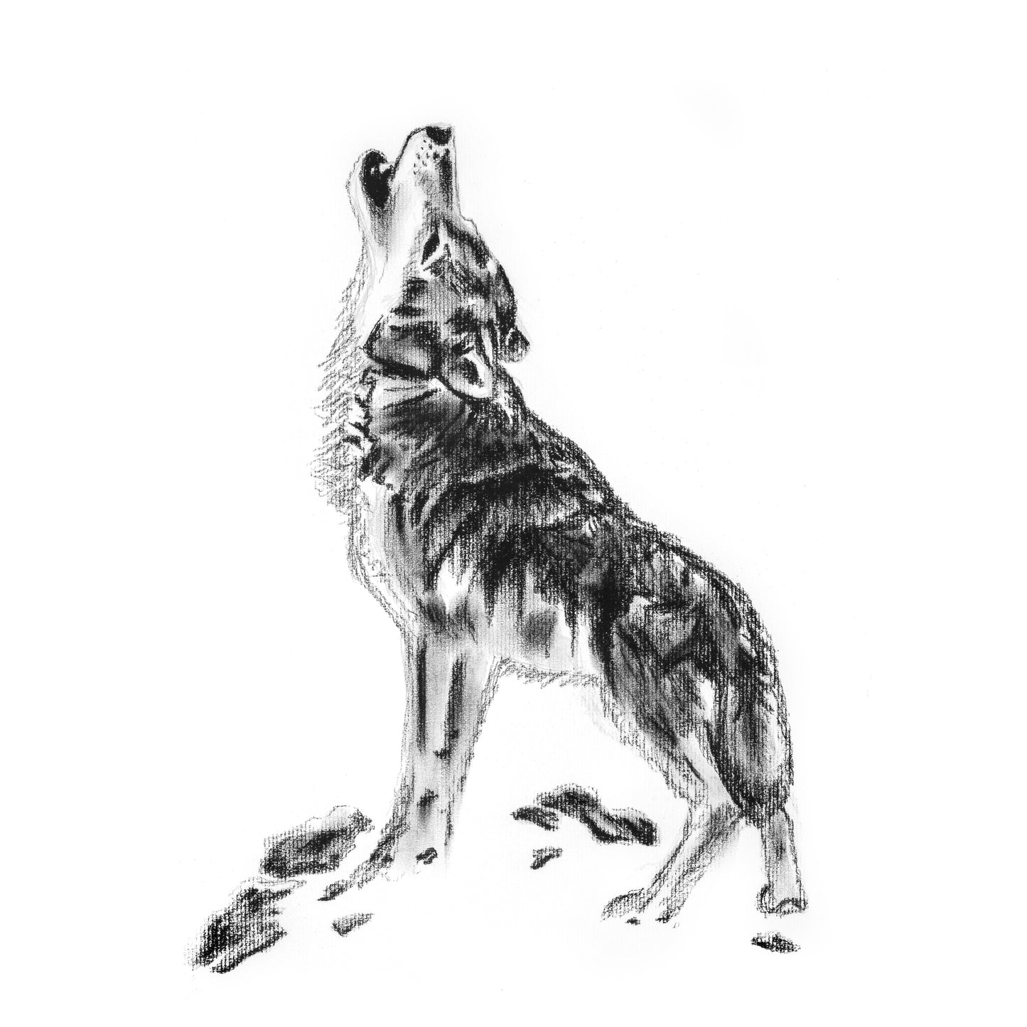 TERRA NOVA WOLF MOON FINE ART PRINT