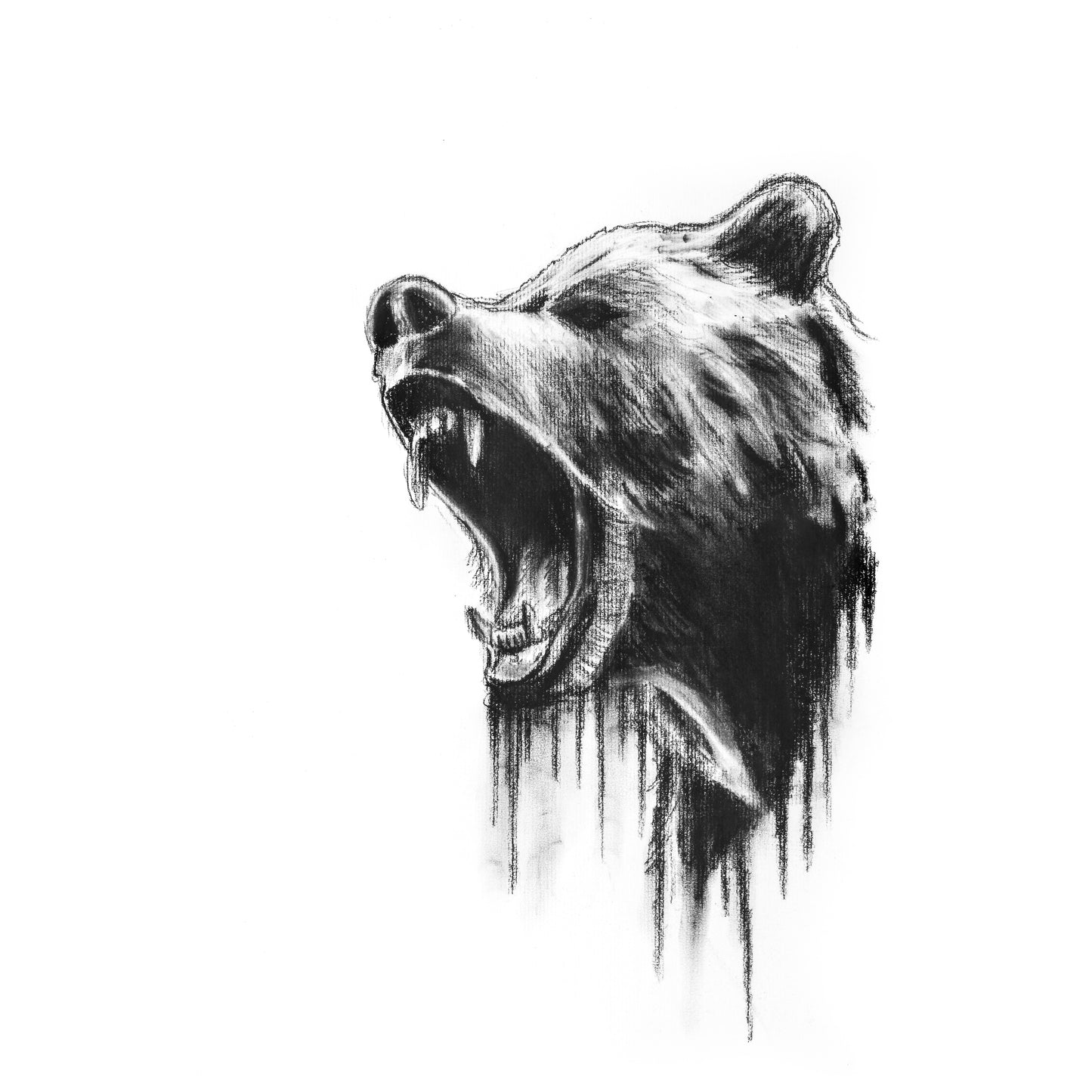 TERRA NOVA BEAR IN A CAGE FINE ART PRINT